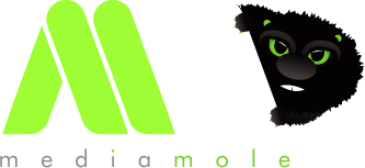 Mediamole Shopify Freelancer